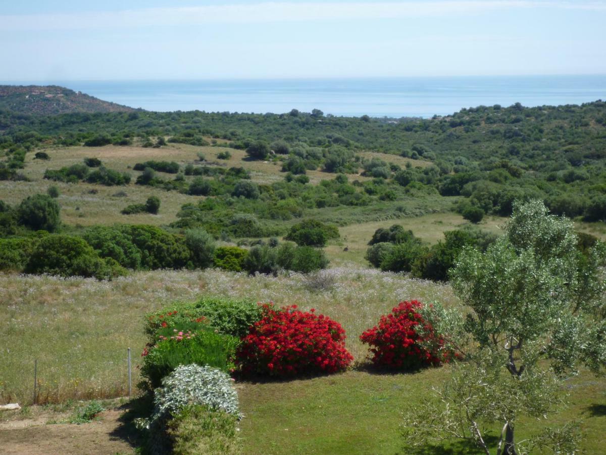 فيلا Fattoria Di Anja E Marco كوستا ري المظهر الخارجي الصورة